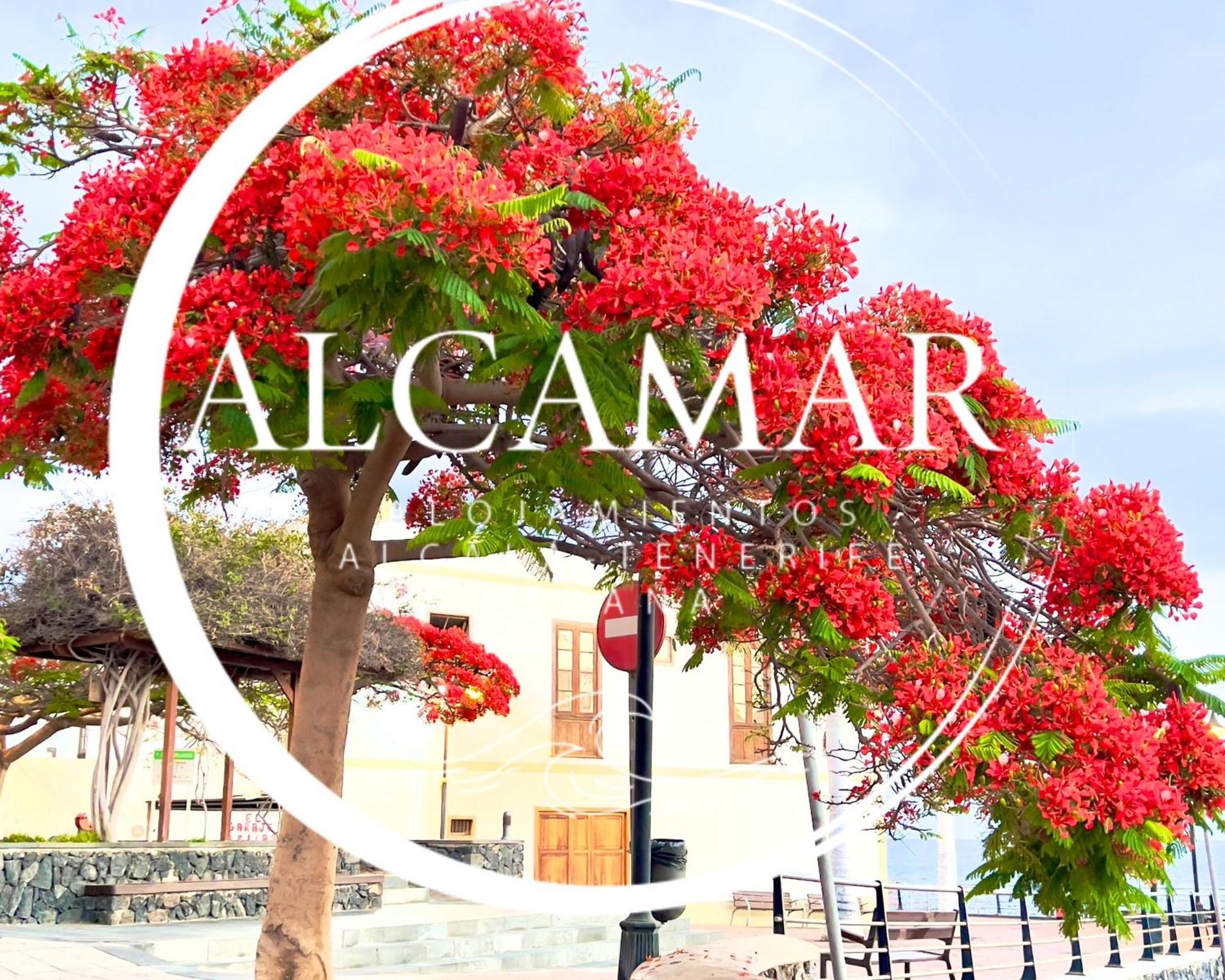 Alcamar Habitacion Privada Con Las Areas De Sala, Cocina Y Bano Que Se Comparten Cerca Al Mar! Alcala  Exterior photo